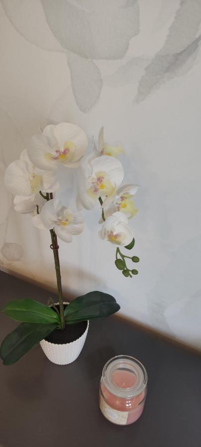Apartment Be My Guest - Krucza Elegant - Rondo De Gaulle'a Center Of Metro Wi-fi Breakfast *