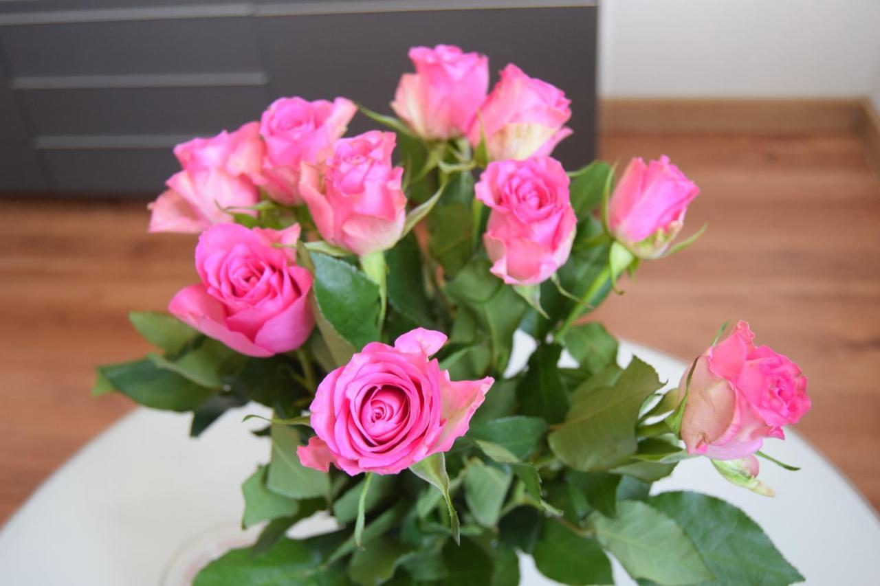 Apartment Be My Guest - Krucza Elegant - Rondo De Gaulle'a Center Of Metro Wi-fi Breakfast Warsaw